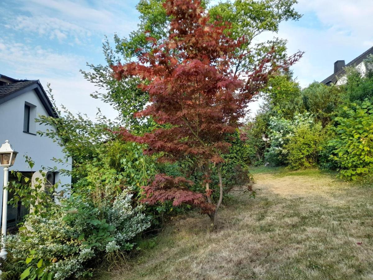 Haus Edda - Ferienwohnungen Mit Garten Und Schlossblick Marburg Exteriör bild